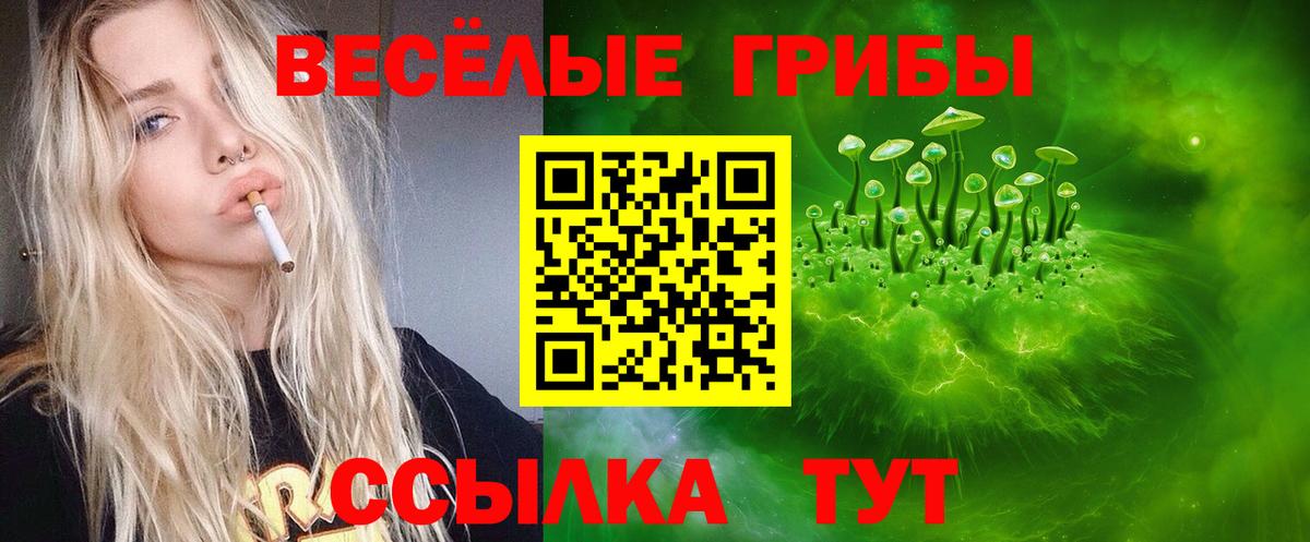 Карачаевск  Галлюциногенные грибы Psilocybe  Вход с VPN 